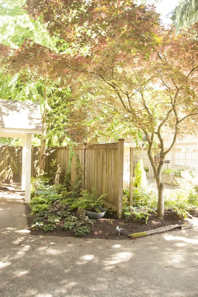 Expert landscaping services in Seattle, WA - Plant People Northwest