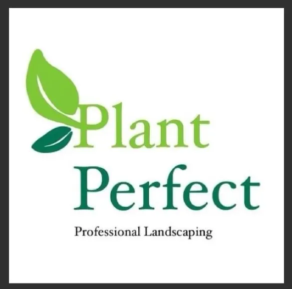 Expert yard maintenance with custom design in Hollywood, FL by Plant Perfect