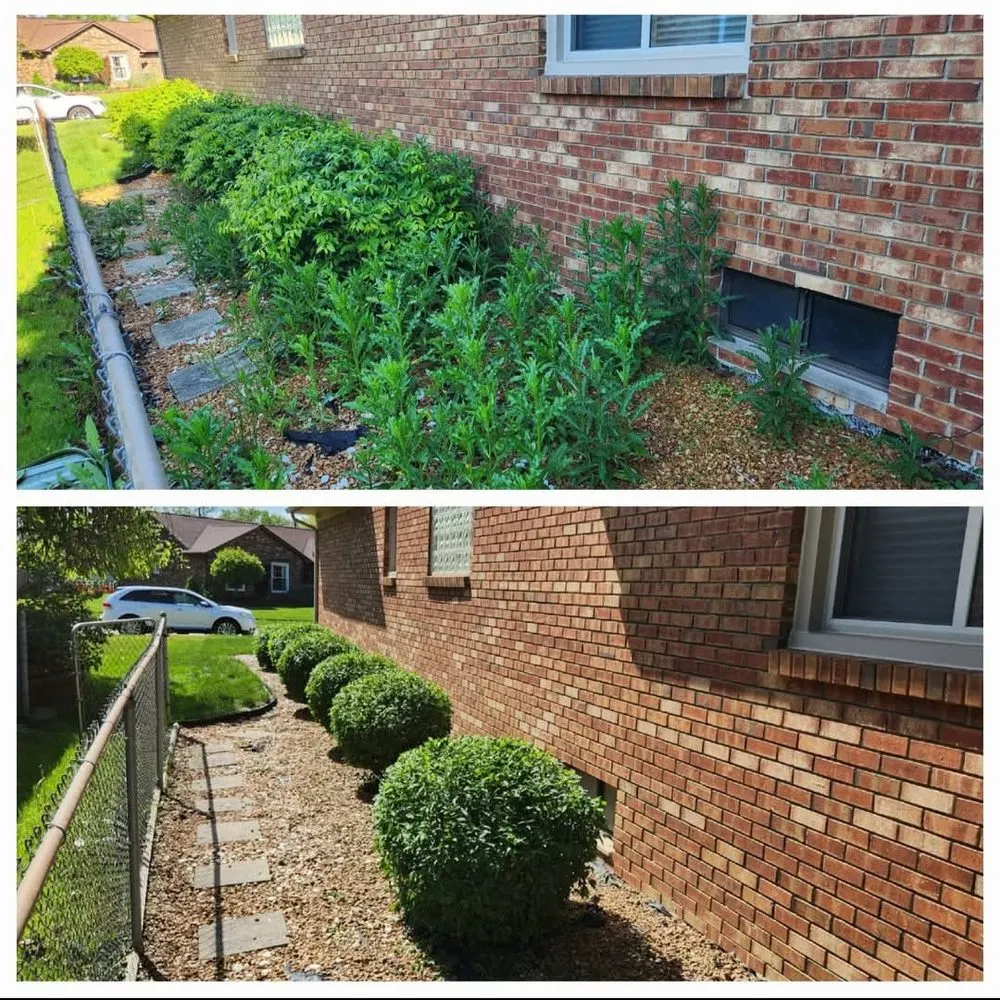 Reliable residential landscaping experts serving Macomb, MI - Plant Perfection