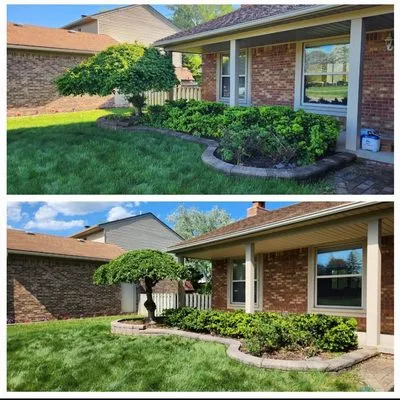 Plant Perfection Logo