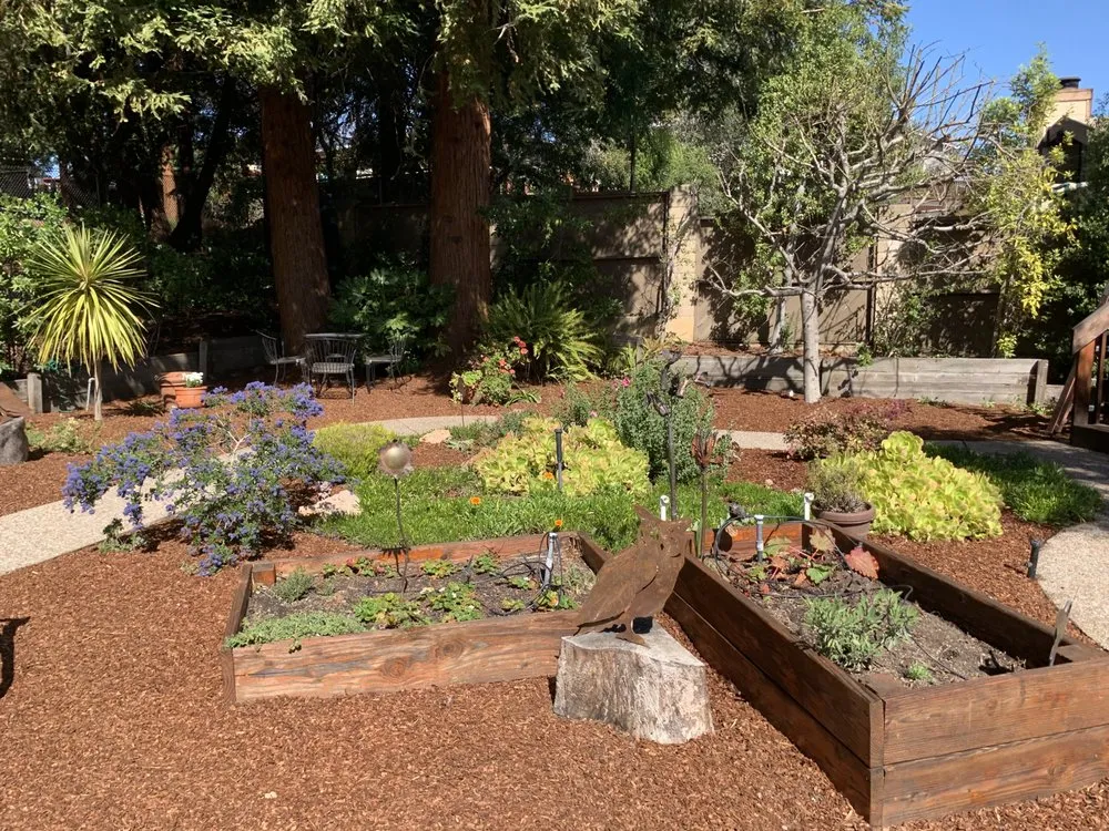 Affordable landscaping services experts serving Oakland, CA - Plant Potential