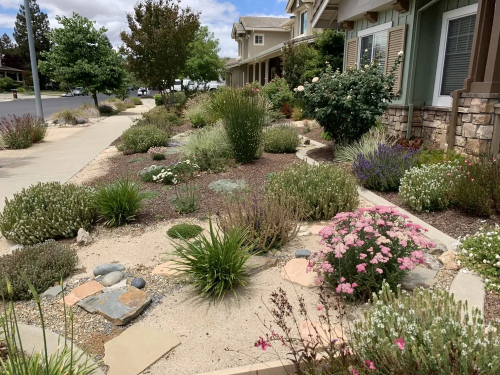 Reliable residential landscaping experts serving Oakland, CA - Plant Potential