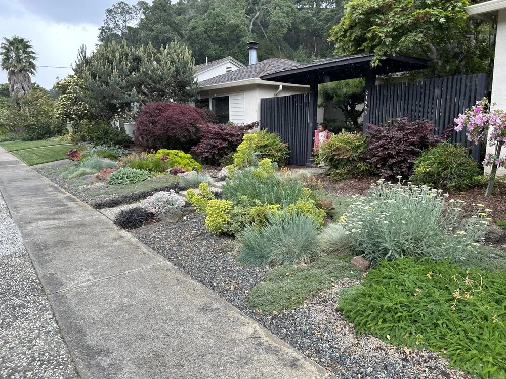 Professional residential landscaping in Oakland, CA - Plant Potential