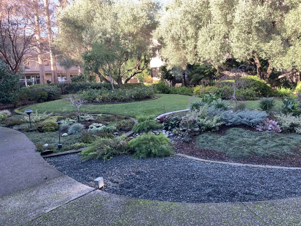 Reliable landscaping services for outdoor upgrades in Oakland, CA by Plant Potential