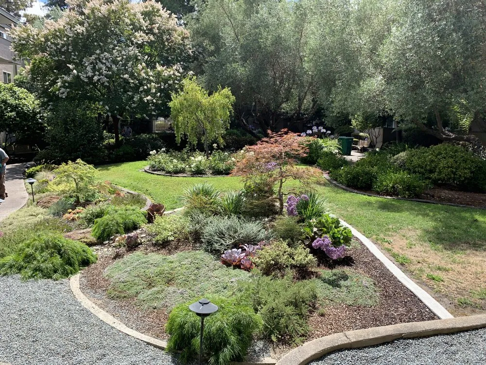 Local landscaping services experts serving Oakland, CA - Plant Potential