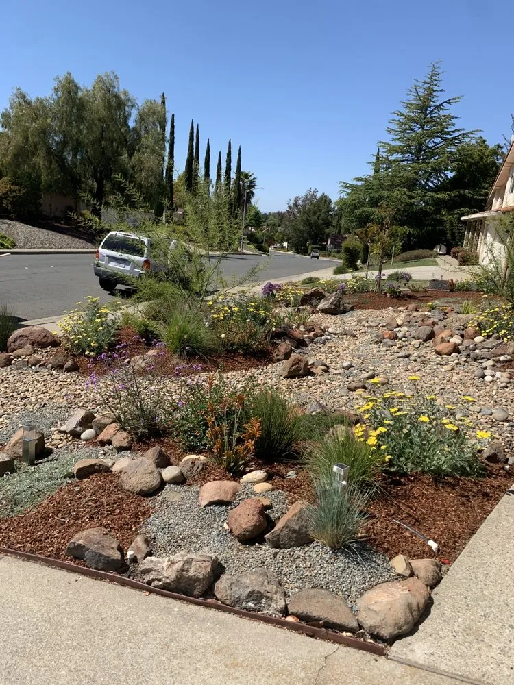 Top-rated landscape installation experts serving Oakland, CA - Plant Potential