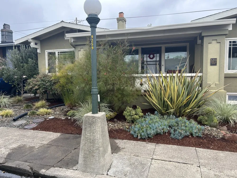 Local yard cleanup service in Oakland, CA - Plant Potential