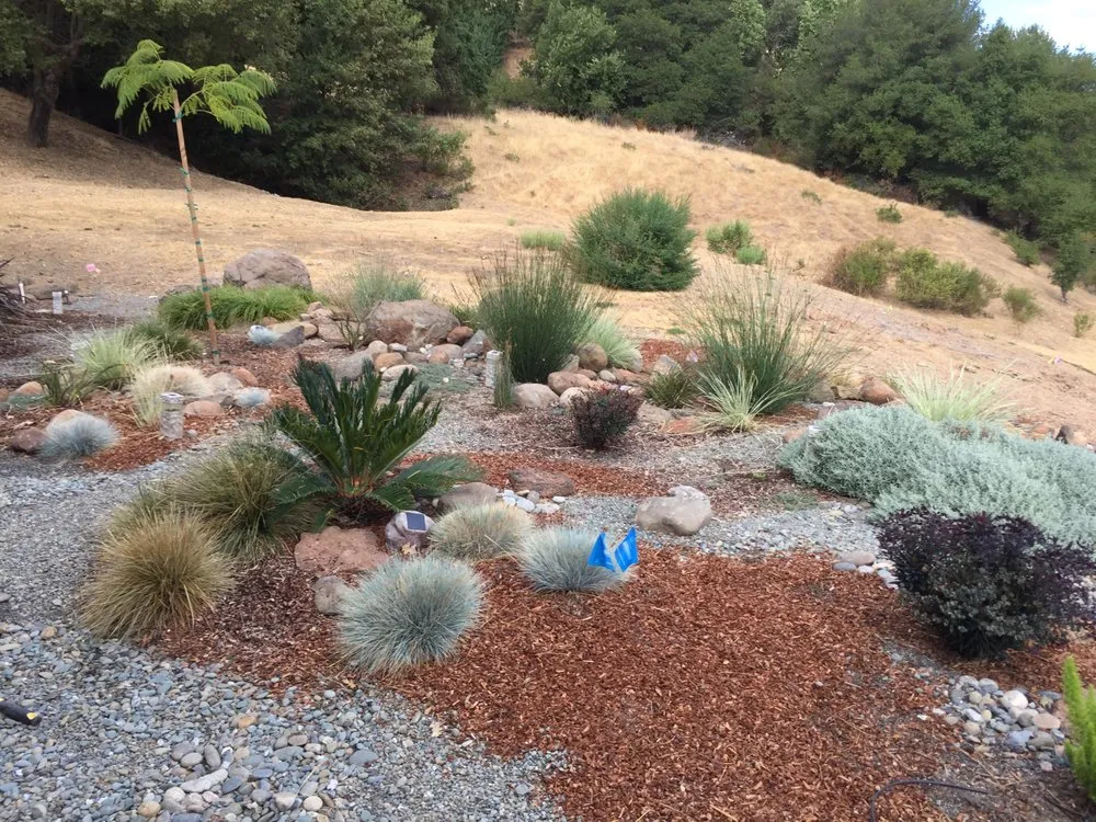 Professional outdoor landscaping in Oakland, CA by Plant Potential