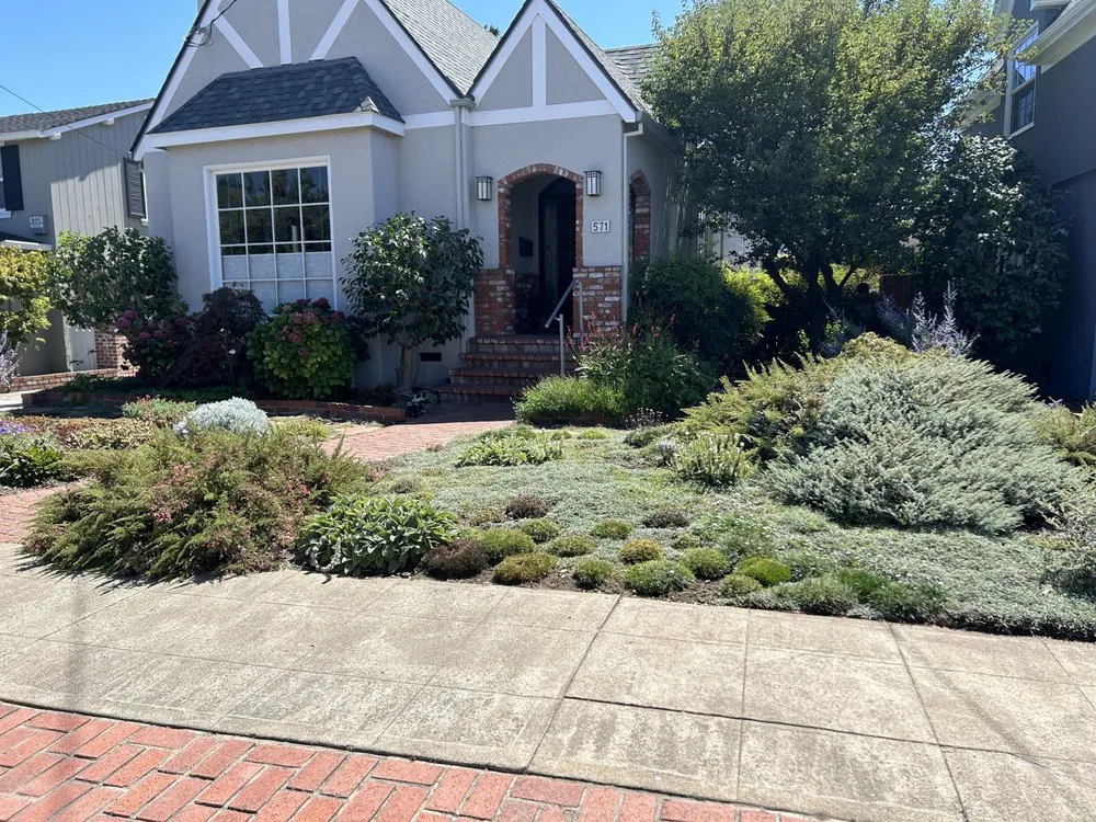 Custom lawn care service in Oakland, CA by Plant Potential