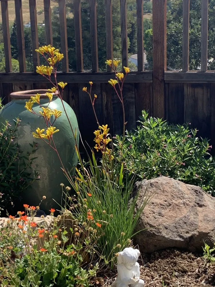 Local garden landscaping in Oakland, CA - Plant Potential