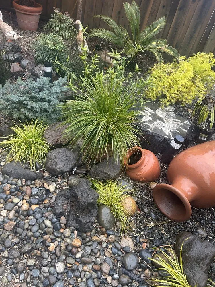 Affordable yard maintenance in Oakland, CA by Plant Potential