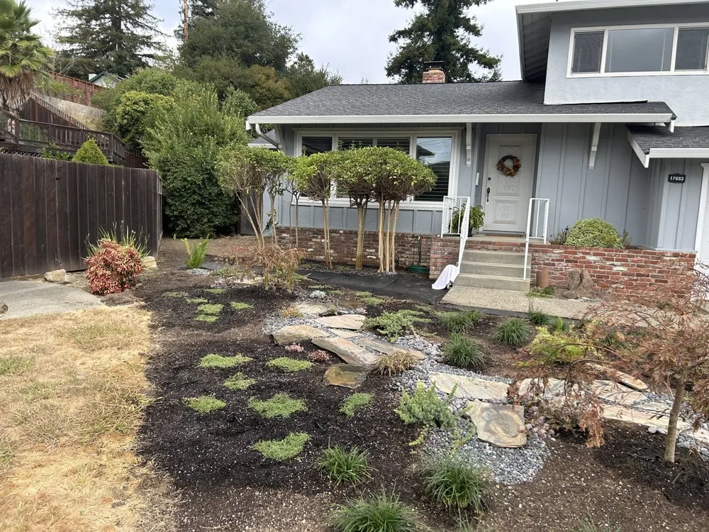 Reliable lawn care service in Oakland, CA - Plant Potential