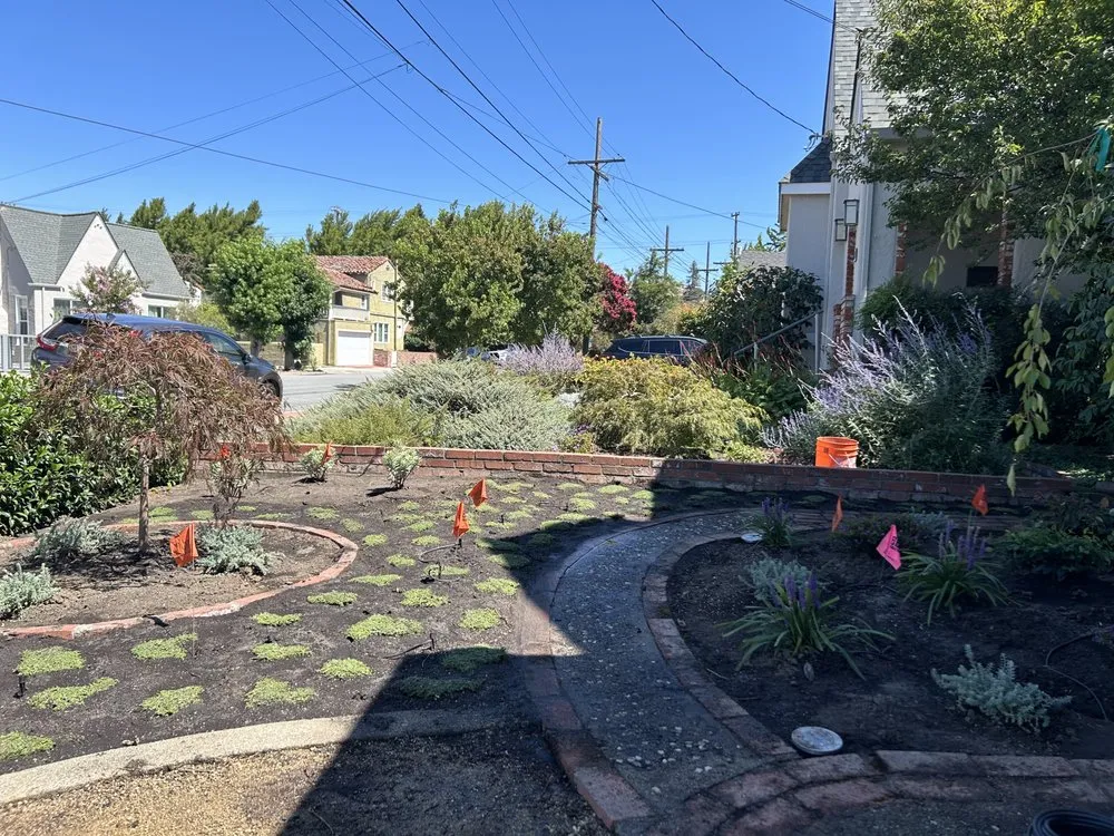 Expert landscaping services experts serving Oakland, CA - Plant Potential