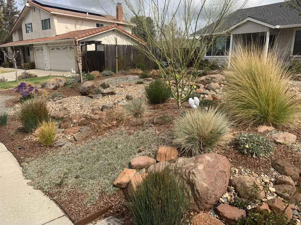 Local landscape design for homes across Oakland, CA - Plant Potential