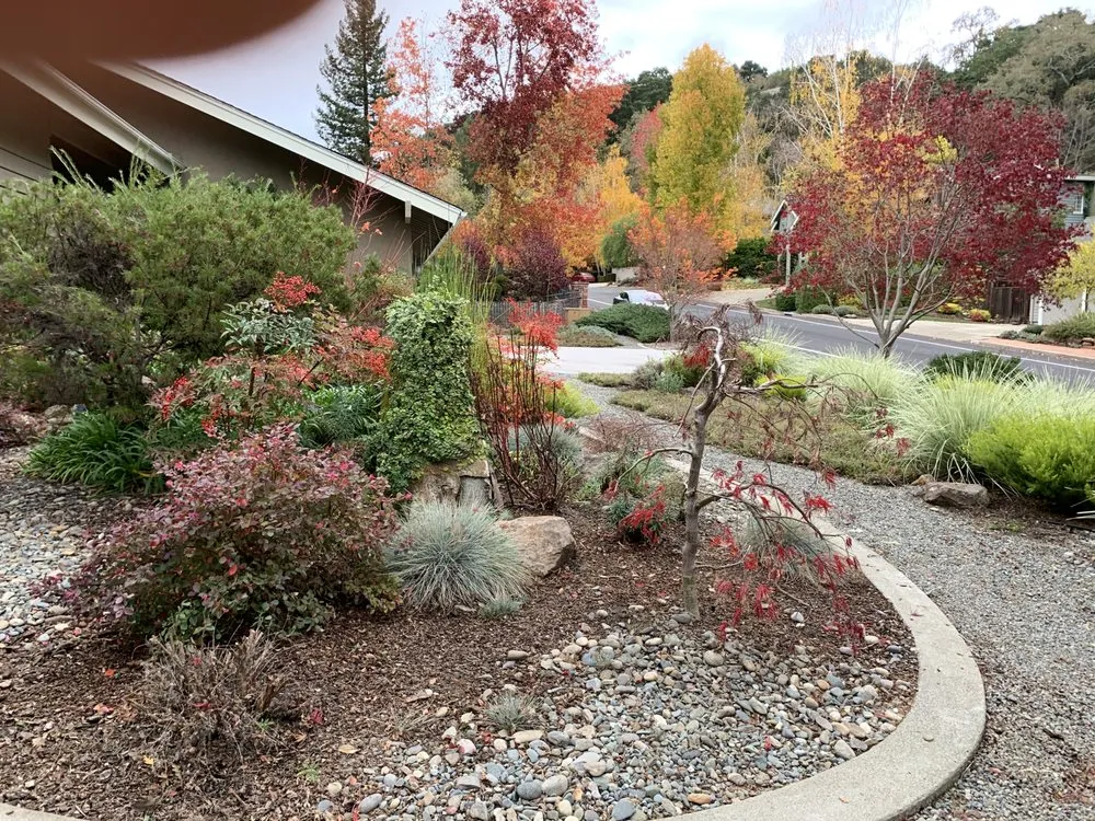 Professional garden landscaping experts serving Oakland, CA - Plant Potential