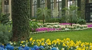 Top-rated residential landscaping for residential properties in Miami, FL by Plant Professionals