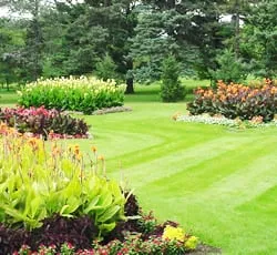 Affordable garden landscaping for beautiful yards across Miami, FL - Plant Professionals