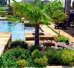 Trusted lawn mowing service for residential properties in Miami, FL by Plant Professionals