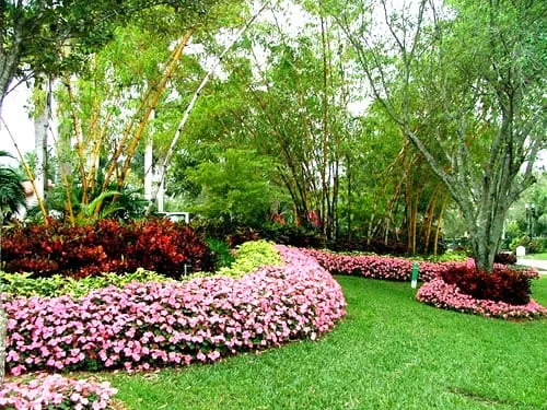Custom landscape design experts serving Miami, FL - Plant Professionals