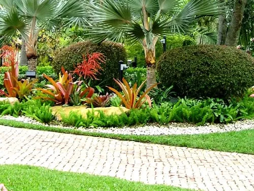 Reliable landscape installation in Miami, FL by Plant Professionals