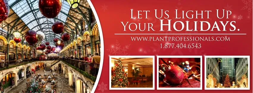 Professional yard cleanup service for residential properties across Miami, FL - Plant Professionals