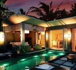 Trusted yard cleanup service experts serving Miami, FL - Plant Professionals