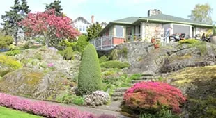 Expert lawn care service for residential properties in Miami, FL by Plant Professionals