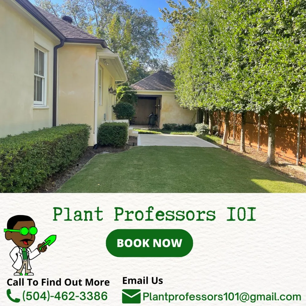 Professional garden landscaping experts serving New Orleans, LA - Plant Professors 101