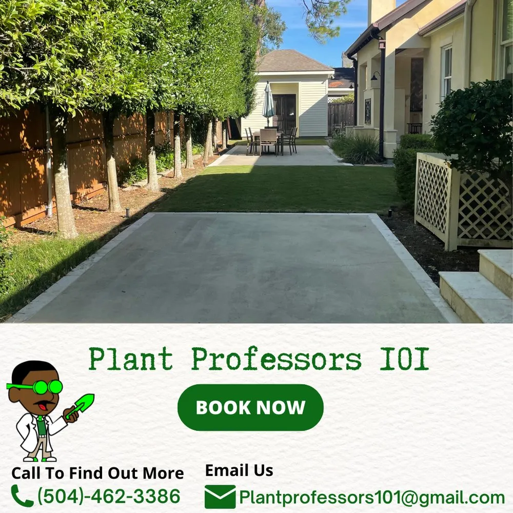 Custom lawn care service for year-round maintenance in New Orleans, LA by Plant Professors 101
