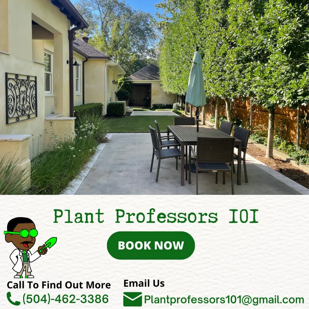Local residential landscaping in New Orleans, LA by Plant Professors 101