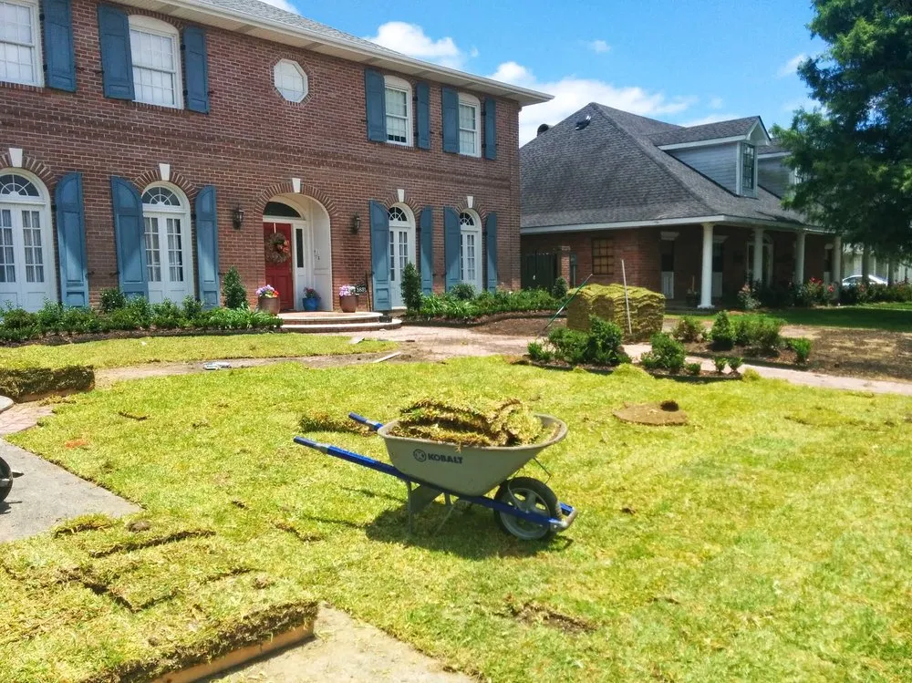 Trusted yard cleanup service in New Orleans, LA by Plant Professors 101