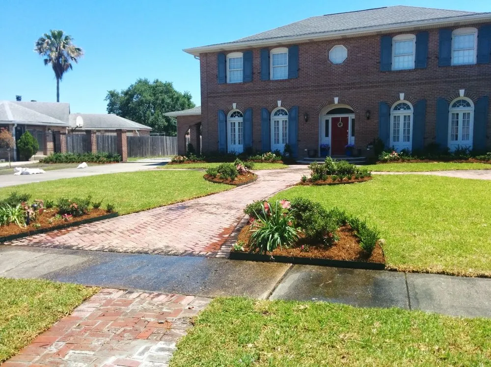 Top-rated landscape design in New Orleans, LA by Plant Professors 101