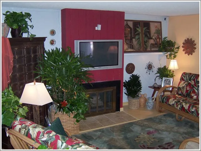 Custom landscaping services for homes in Marina Del Rey, CA by Plant Republic