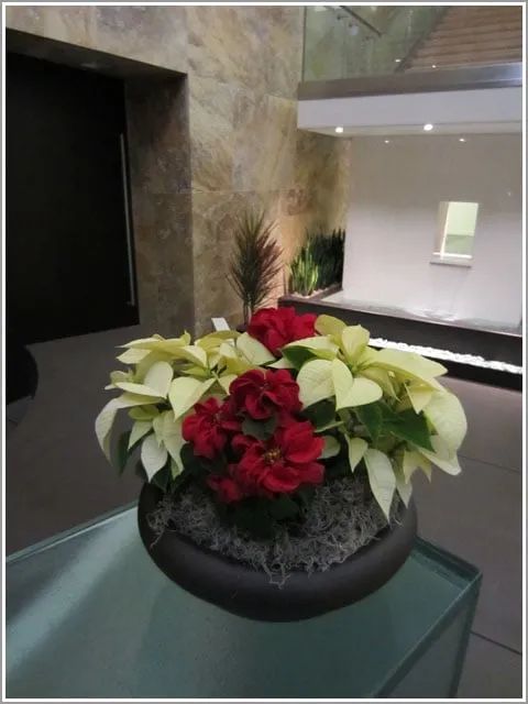 Trusted garden landscaping in Marina Del Rey, CA - Plant Republic