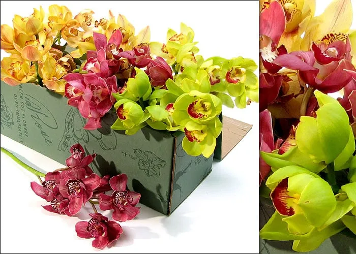 Top-rated landscape installation in Marina Del Rey, CA by Plant Republic