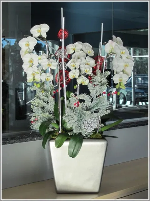 Expert garden landscaping near you in Marina Del Rey, CA by Plant Republic