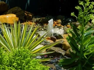 Reliable landscaping services for residential properties in Richmond, VA by Plant Richmond