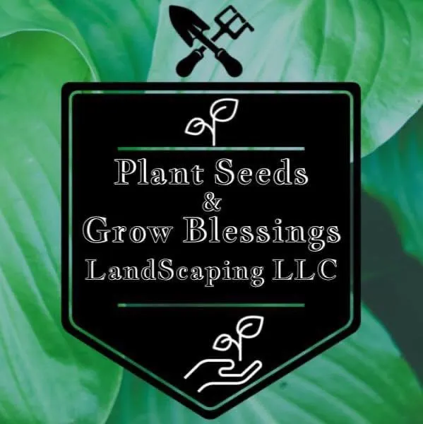 Affordable residential landscaping in Houma, LA by Plant Seeds & Grow Blessing Landscaping