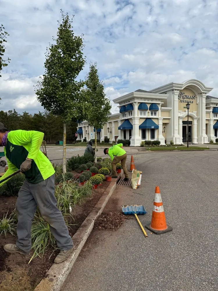 Top-rated yard cleanup service with custom design across Warren, NJ - Plant Solutions Tree & Lawn Care