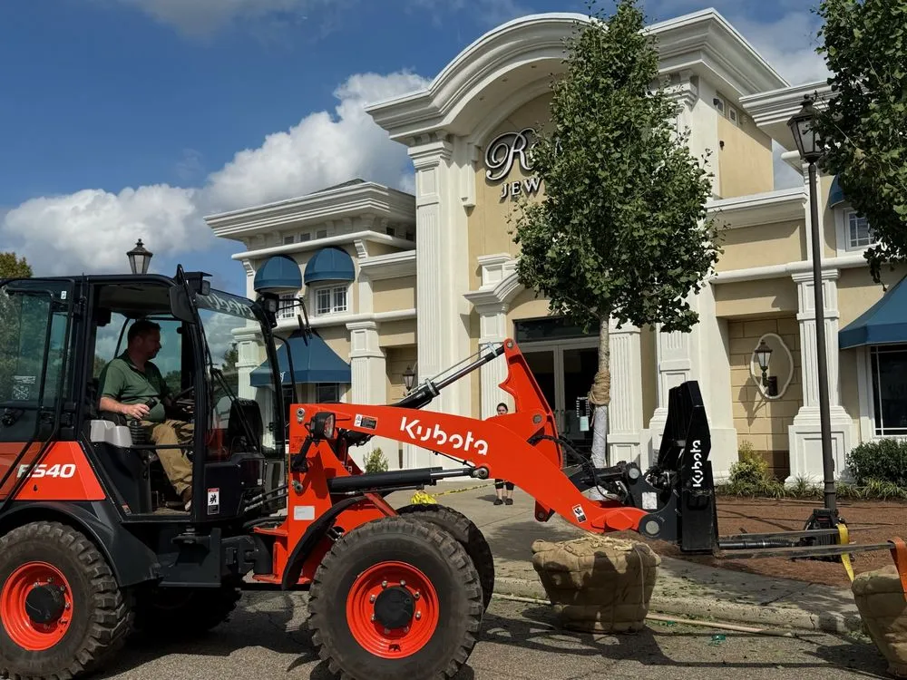 Top-rated yard cleanup service for beautiful yards in Warren, NJ by Plant Solutions Tree & Lawn Care