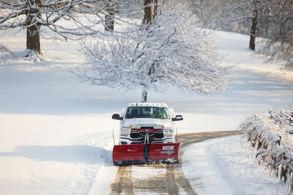 Top-rated lawn care service for beautiful yards in Warren, NJ by Plant Solutions Tree & Lawn Care