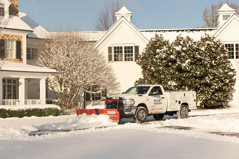 Expert lawn mowing service experts serving Warren, NJ - Plant Solutions Tree & Lawn Care