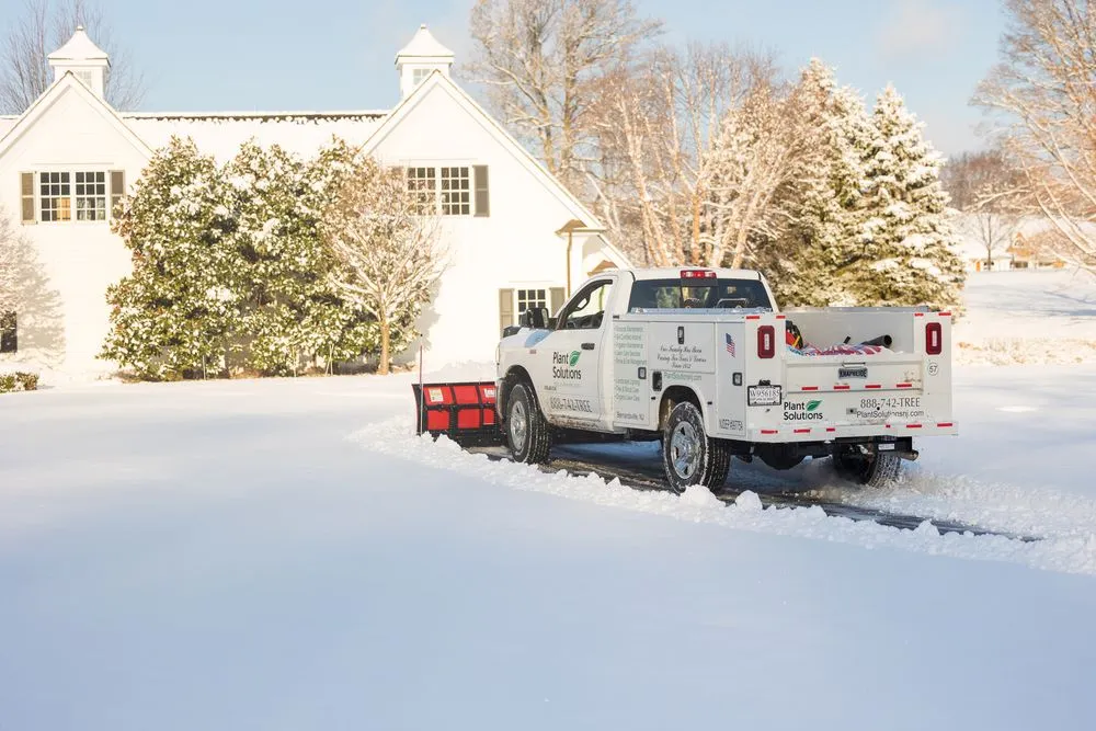 Affordable lawn mowing service experts serving Warren, NJ - Plant Solutions Tree & Lawn Care