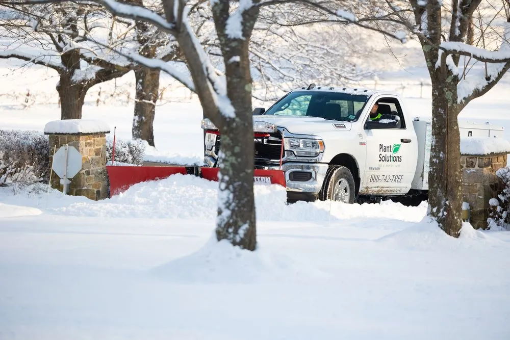 Affordable yard cleanup service in Warren, NJ - Plant Solutions Tree & Lawn Care