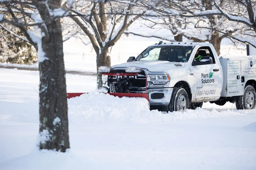 Trusted yard maintenance in Warren, NJ - Plant Solutions Tree & Lawn Care