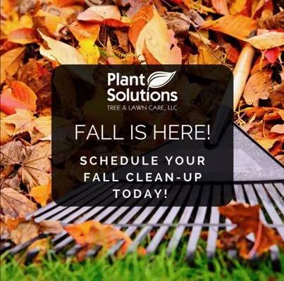 Plant Solutions Tree & Lawn Care