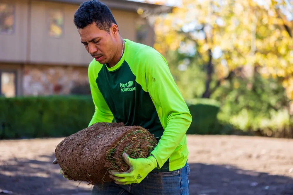 Professional garden landscaping experts serving Bernardsville, NJ - Plant Solutions Tree And Lawn Care