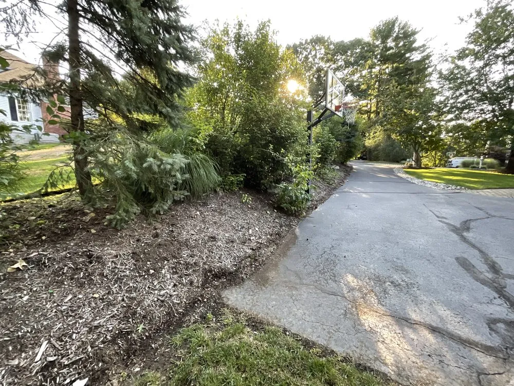 Local yard maintenance in Bernardsville, NJ - Plant Solutions Tree And Lawn Care