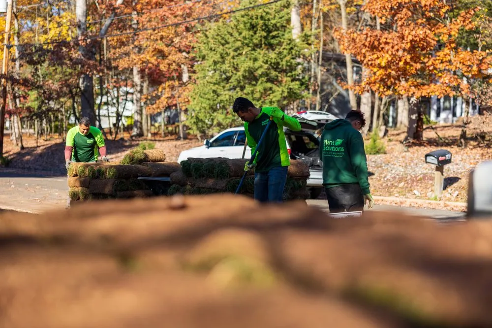 Top-rated yard maintenance experts serving Bernardsville, NJ - Plant Solutions Tree And Lawn Care