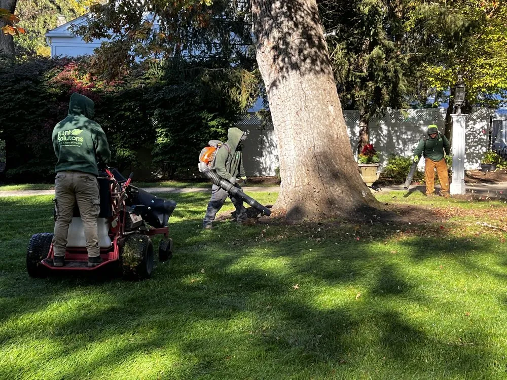 Trusted yard maintenance in Bernardsville, NJ by Plant Solutions Tree And Lawn Care